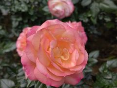 -人民公园(罗湖区)