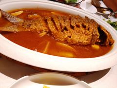 红烧黄河鲤鱼-阿五黄河大鲤鱼(英协路店)