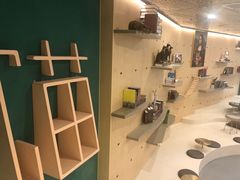 -飞行喵MR PILOT|猫舍·猫咖(静安大融城店)