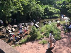 -重庆彩云湖湿地公园
