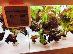 -盒马鲜生(大成店)