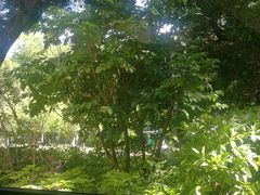 -深圳少年儿童图书馆