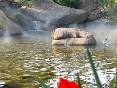 -罗红摄影艺术馆