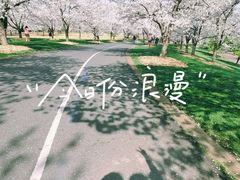 -上海辰山植物园