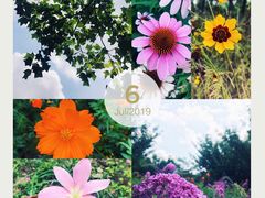 -白塘生态植物园