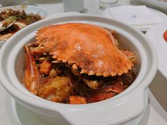 -蝶园·装修中(BFC外滩金融中心店)