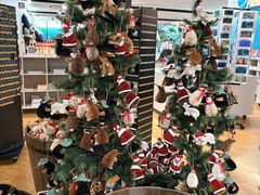 -怀托摩萤火虫洞