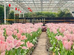 -长春农业博览园