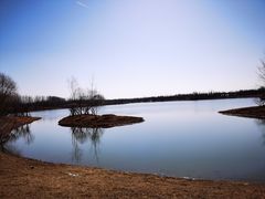 -东郊湿地公园