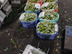 -菜园坝水果市场