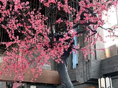 -大渔·观筵(三里屯太古里店)