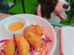 -Cactus墨西哥仙人掌餐厅