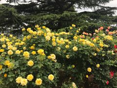 -国家植物园南园