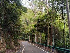 -佛山市三水区大南山森林公园
