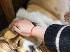 -阿木舂记·特色小吃(平江路店)