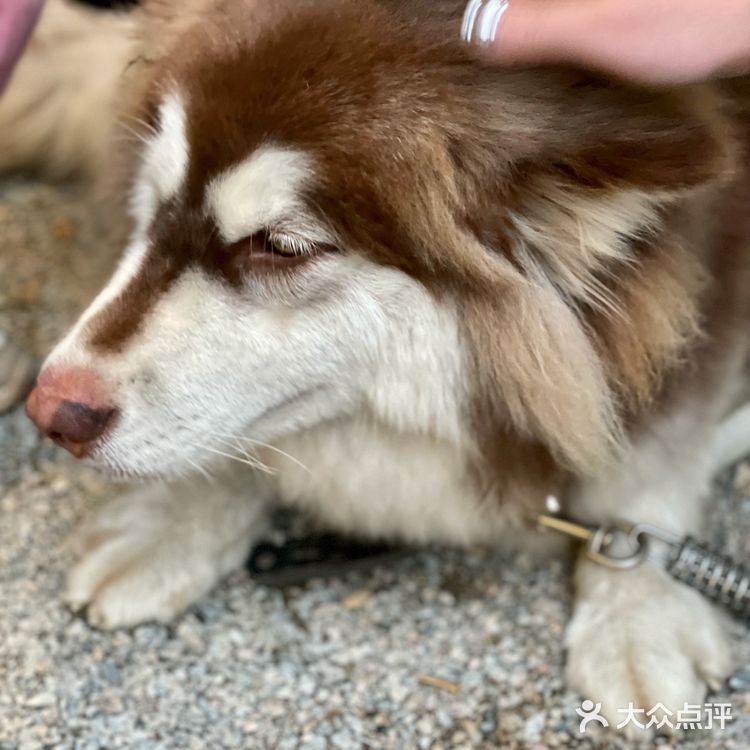 BBQ派对/聚餐/团聚