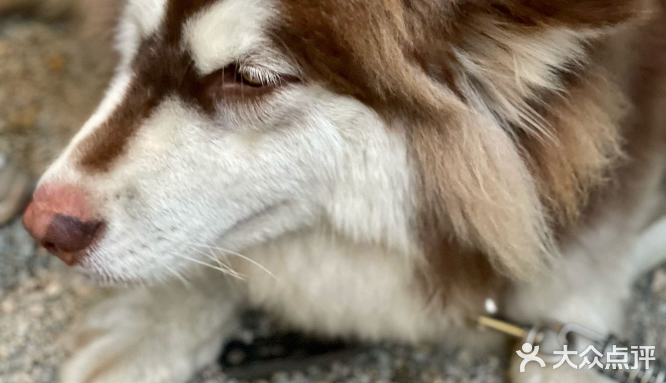 BBQ派对/聚餐/团聚