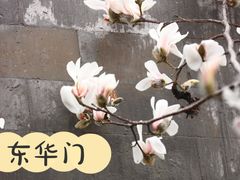 -东华门大街小区
