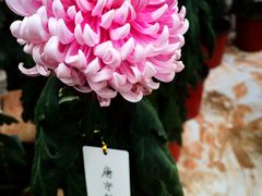 -国家植物园