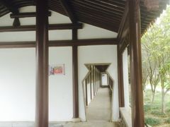 -八大山人梅湖景区