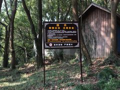 -苏州上方山国家森林公园