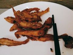 -海口绿发希尔顿酒店-田园汇自助餐·三文鱼·海鲜