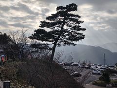 -江南天池
