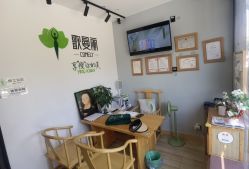 -歌曼丽草本减重