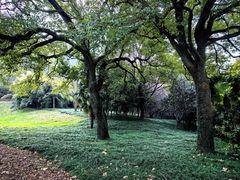 -苏州上方山国家森林公园