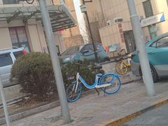 -勒甜LO CHO·定制低糖代糖纯动物奶油生日蛋糕(新开路店)