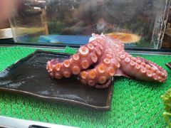 -亚龙湾希尔顿自助餐厅·海鲜·烧烤·沙滩BBQ·现场乐队