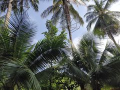 -吐斯廉屠杀博物馆