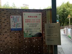 -陈家山荷花公园