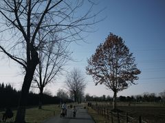 -汉长安城未央宫国家考古遗址公园