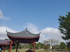 -聚龙山公园