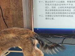 -宠颐生斯嘉宠物医院·急重症·心内科(谷阳北路分院)
