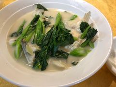 -鸽王世家(东华东路店)