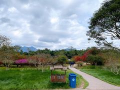 -中国科学院西双版纳热带植物园