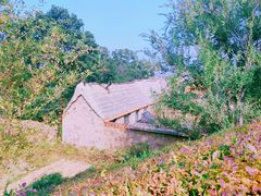 -石岛赤山风景区