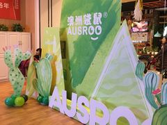 -澳洲袋鼠早教(南二环店)