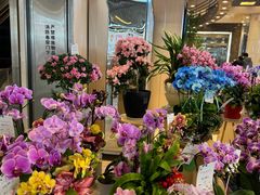 -豆豆花艺(新光天地店)