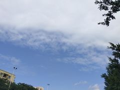 -广百家超市(大东海店)