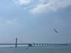 -星海广场
