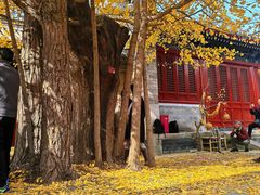 -承恩寺