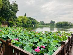 -上海市保健医疗中心