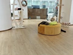 -1013 PET SHOP精品宠物商店(丁香店)