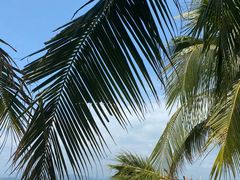 -三亚西岛海洋文化旅游区