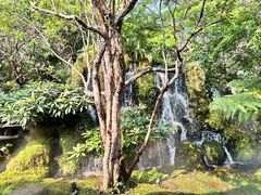 -Chom Cafe and Restaurant