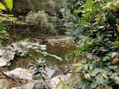 大自然-天门沟九州驿站树上汤泉