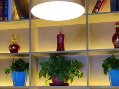 -丛林狼酱骨头(金川店)